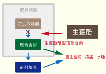 疼痛尺度