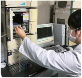 進行純度及分子量的分析