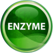 ENZYME